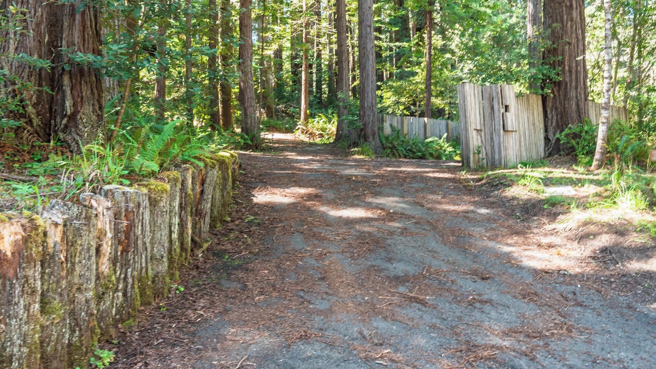 Photo of Outdoor in Sea Ranch