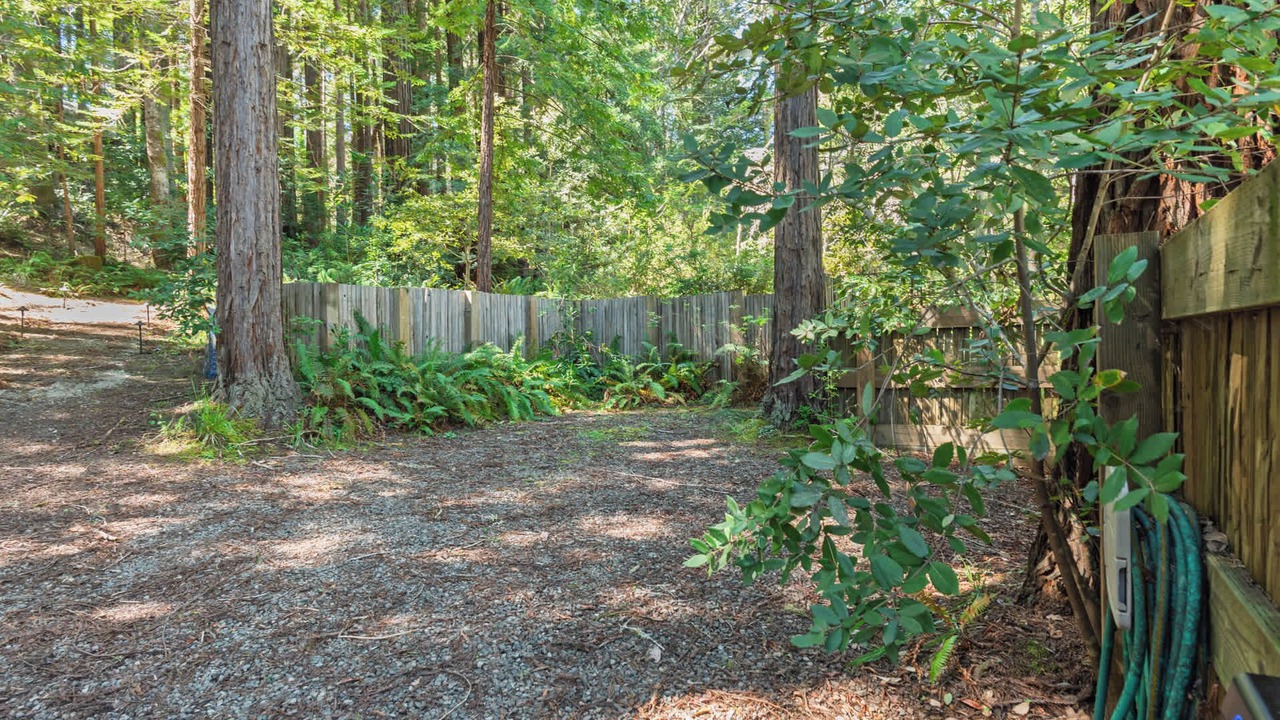 Photo of Outdoor in Sea Ranch