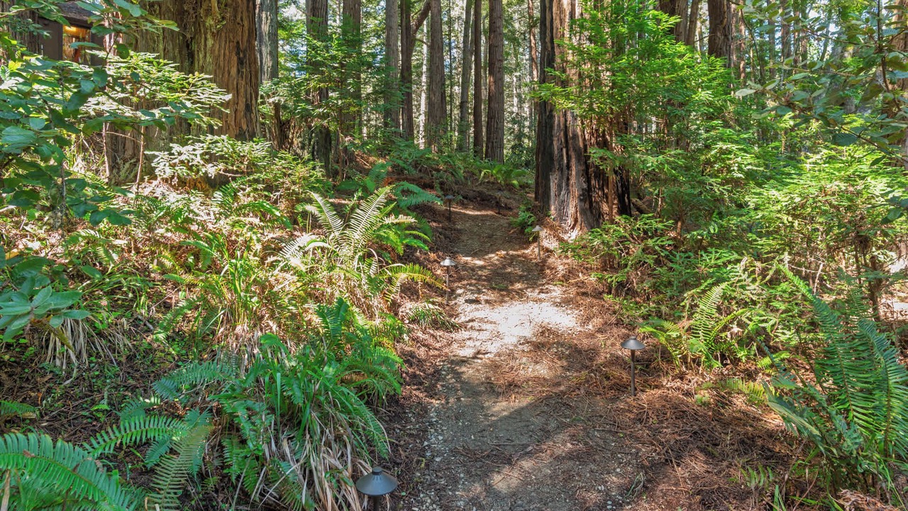 Photo of Outdoor in Sea Ranch