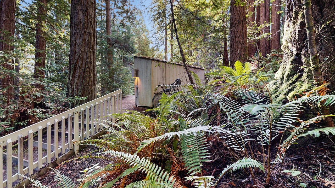 Photo of Others in Sea Ranch