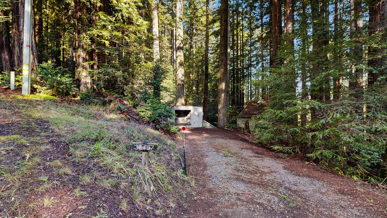 Photo of Others in Sea Ranch