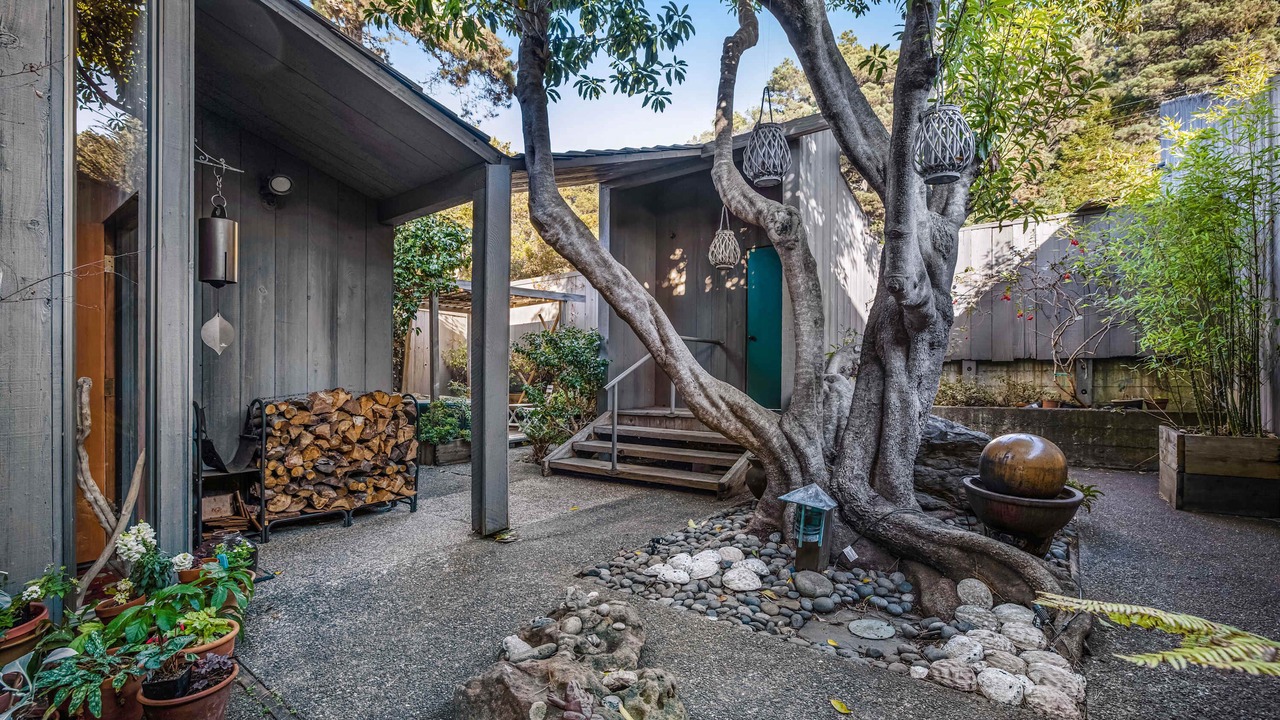 Photo of Outdoor in Sea Ranch