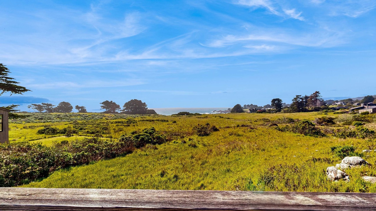 Photo of Others in Sea Ranch