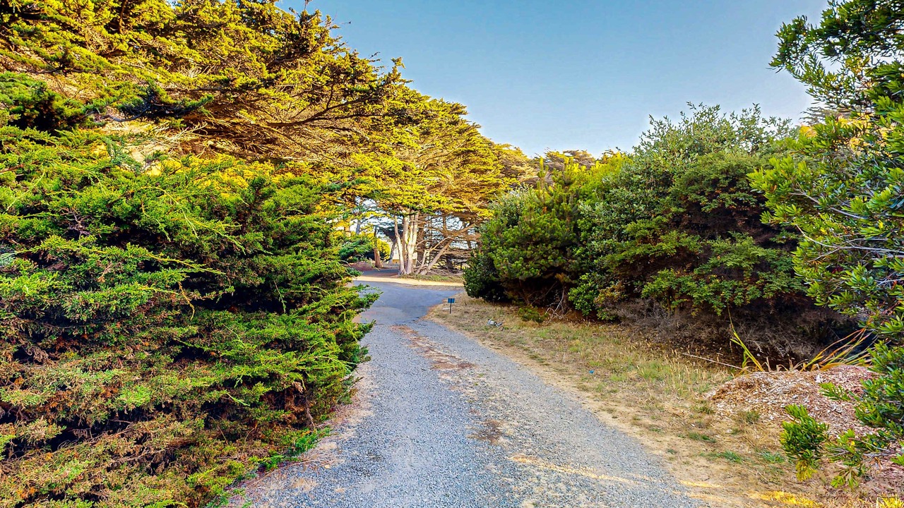 Photo of Others in Sea Ranch