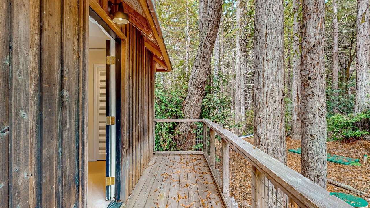 Photo of Others in Sea Ranch