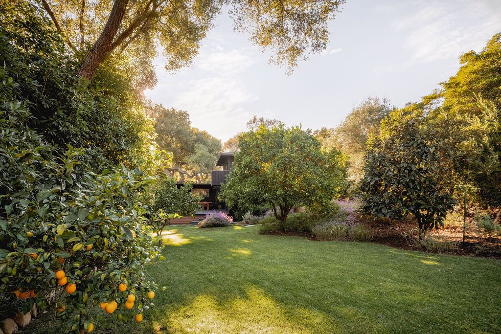 Photo of Outdoor in Montecito