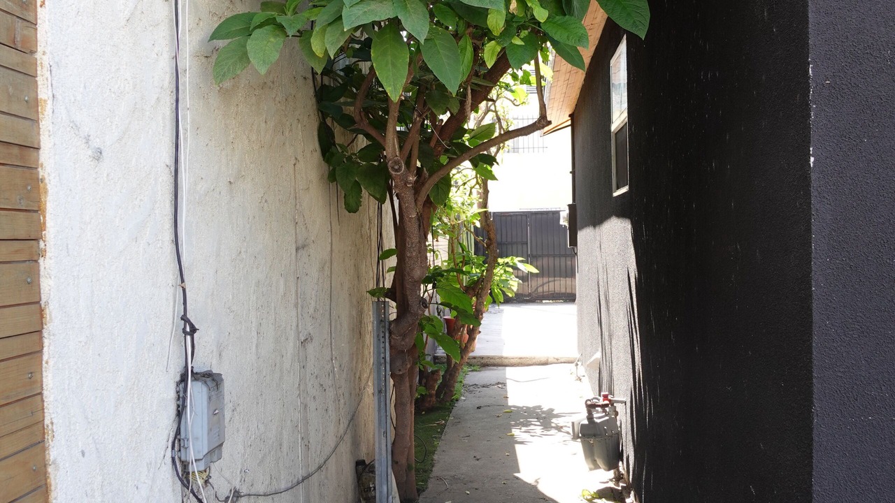 Photo of Outdoor in Los Angeles