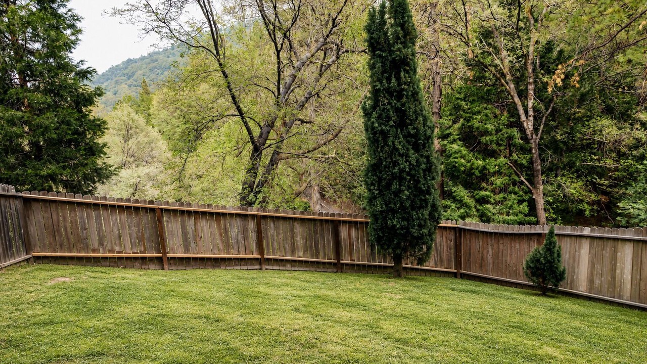 Photo of Outdoor in Crestline