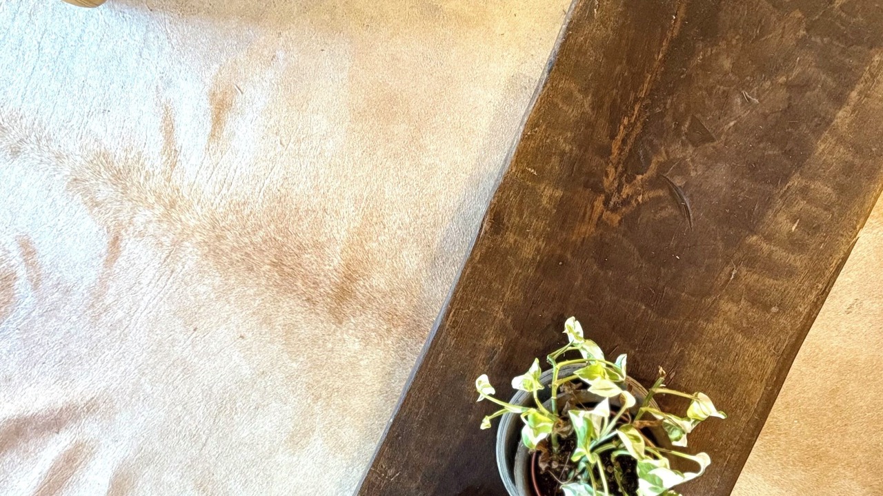 Photo of Others in Hollywood Heights