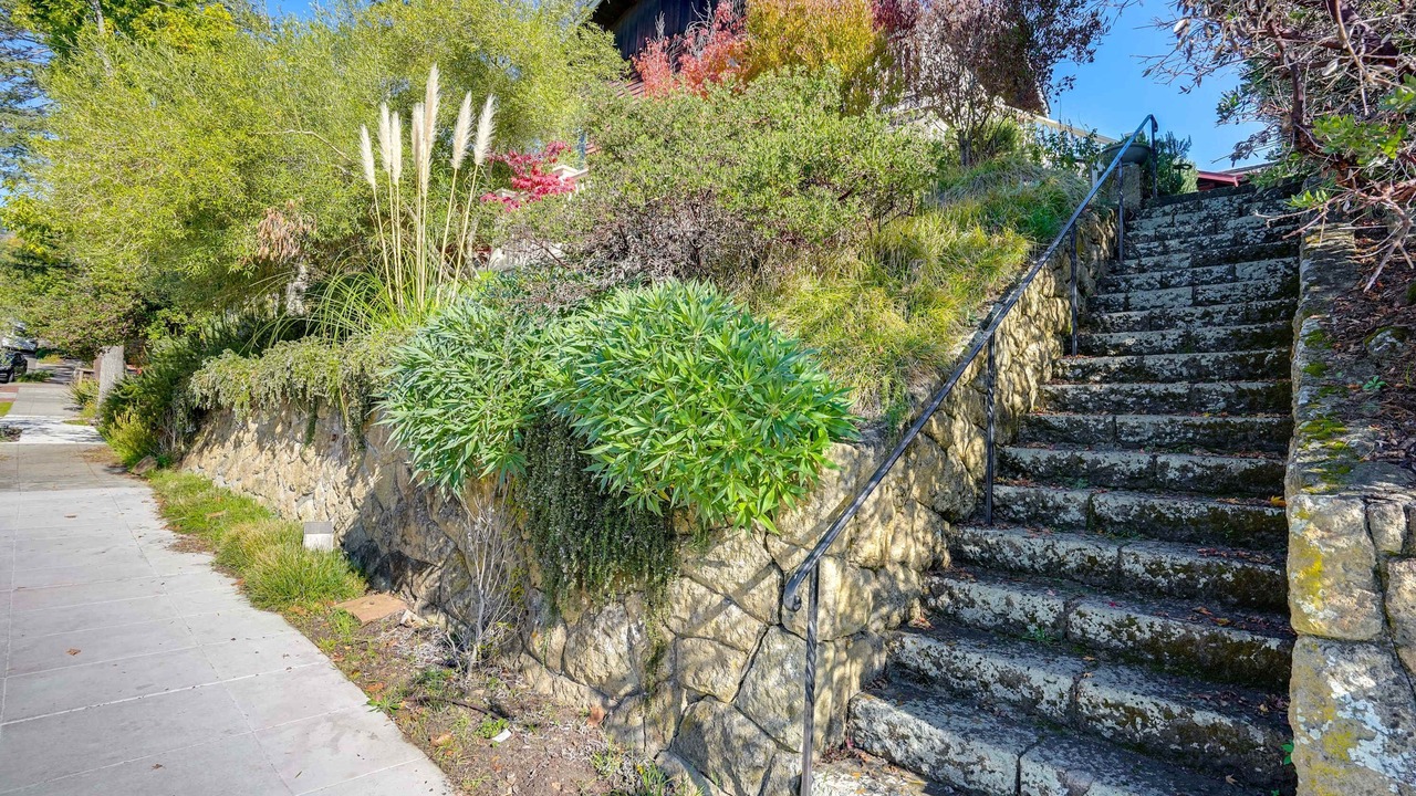 Photo of Outdoor in Berkeley Hills