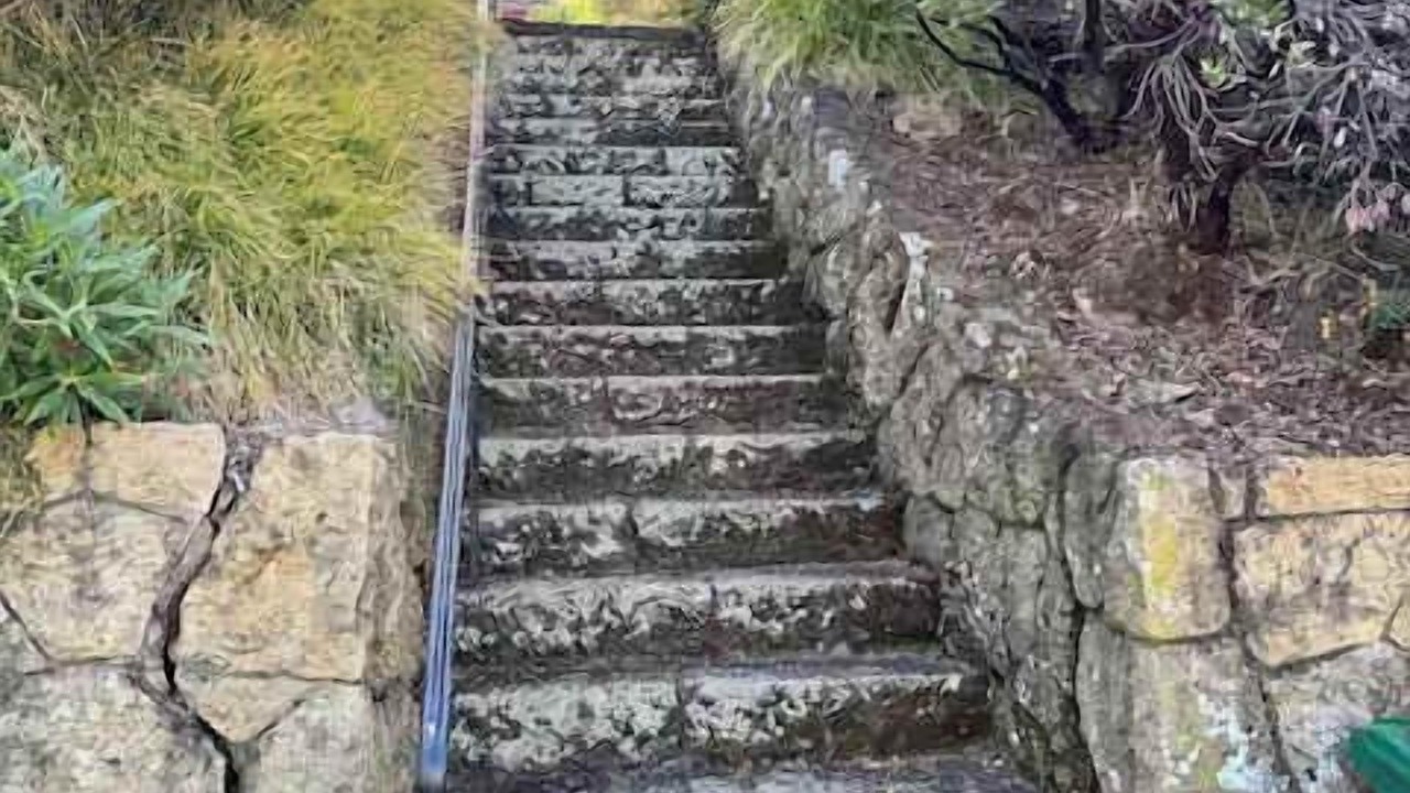 Photo of Outdoor in Berkeley Hills
