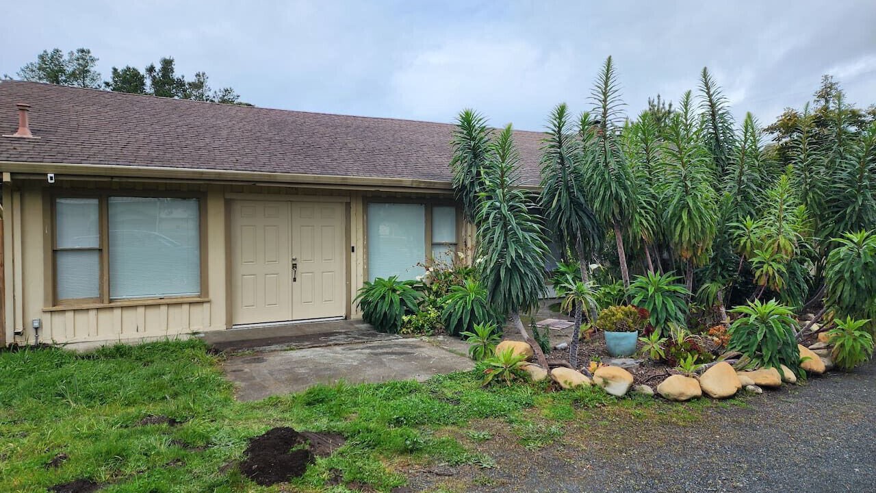 Photo of Outdoor in Point Arena