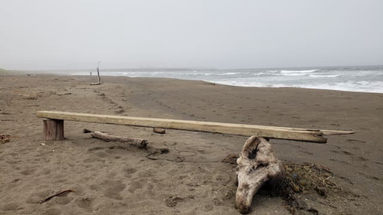 Photo of Others in Point Arena