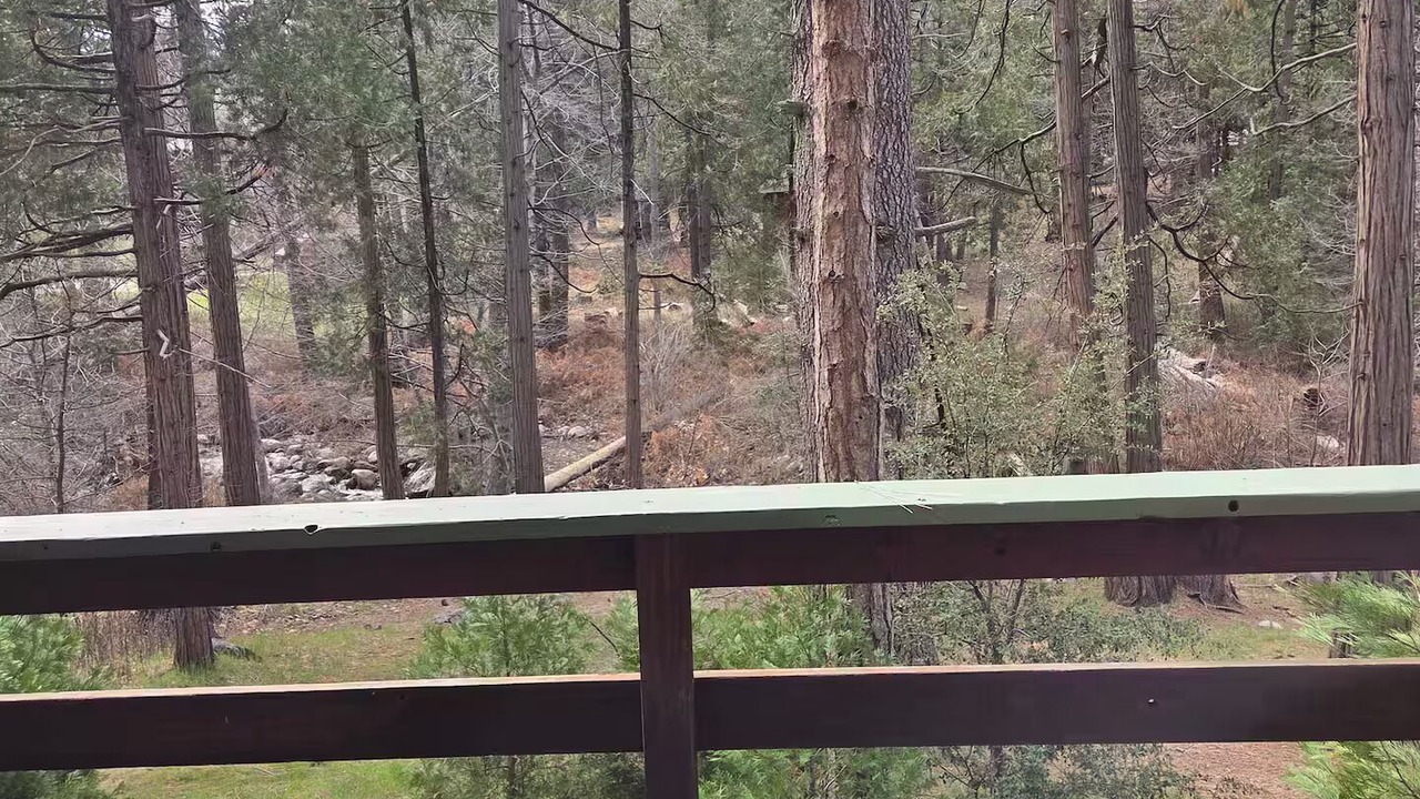 Photo of Outdoor in Idyllwild
