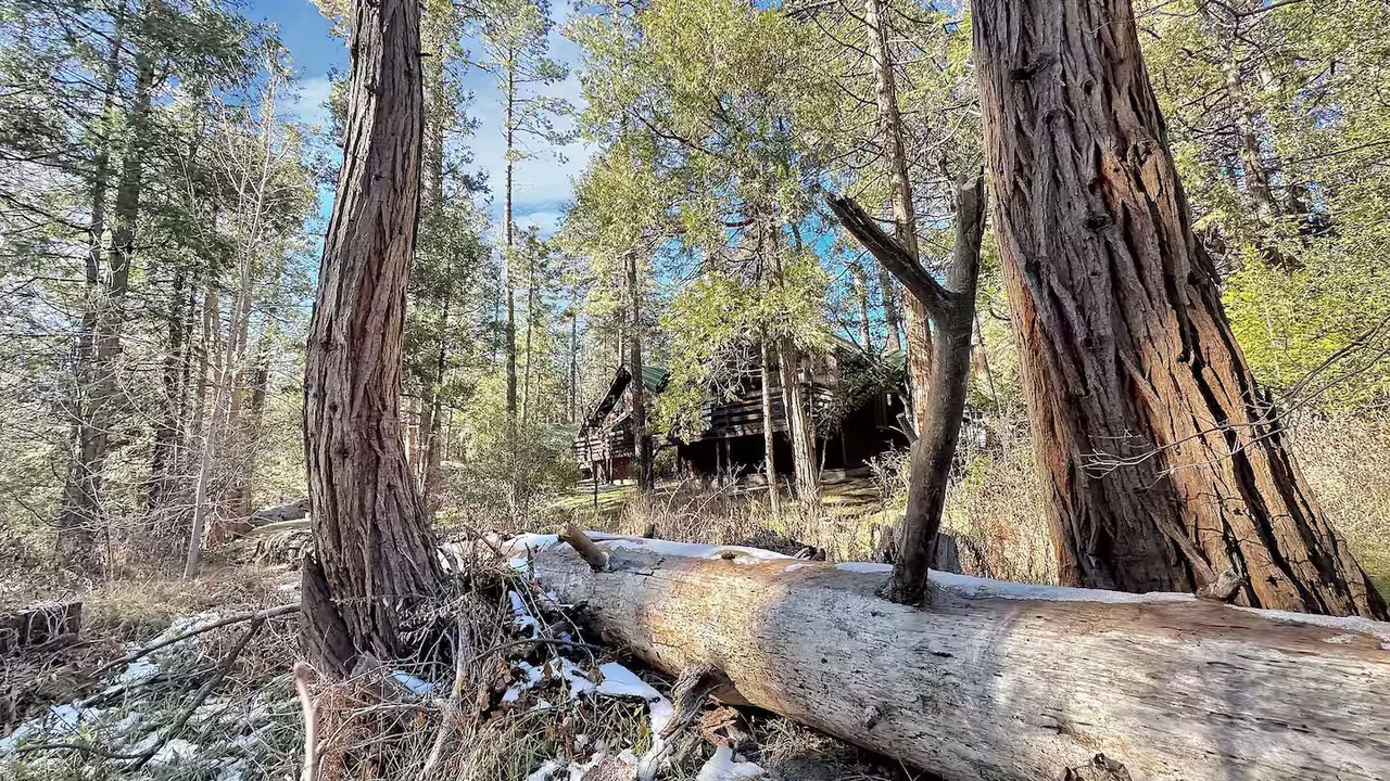 Photo of Others in Idyllwild