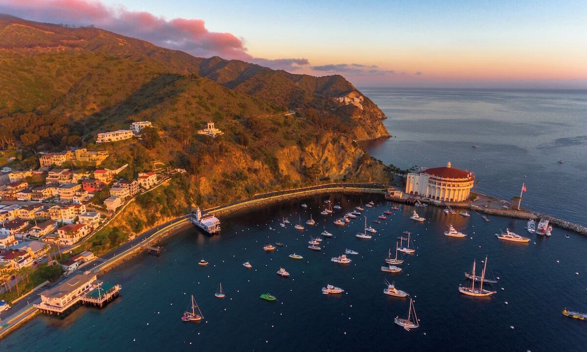 Photo of Outdoor in Avalon