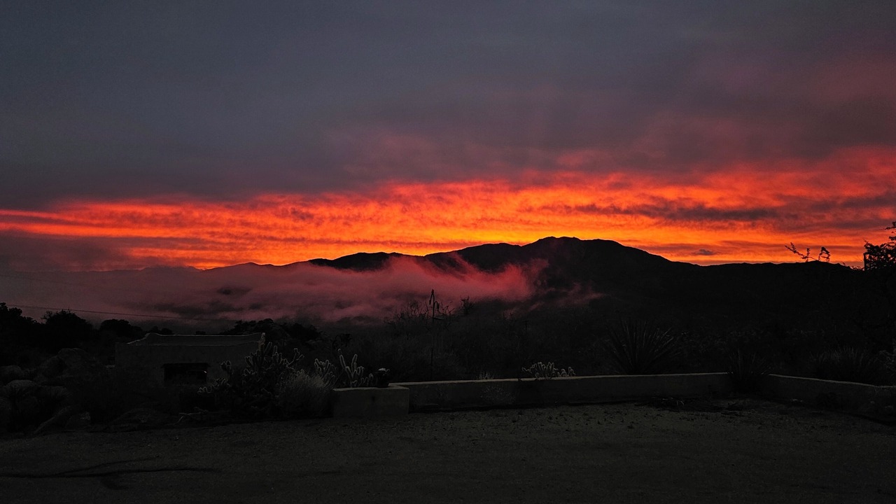 Photo of Others in Pinyon Crest