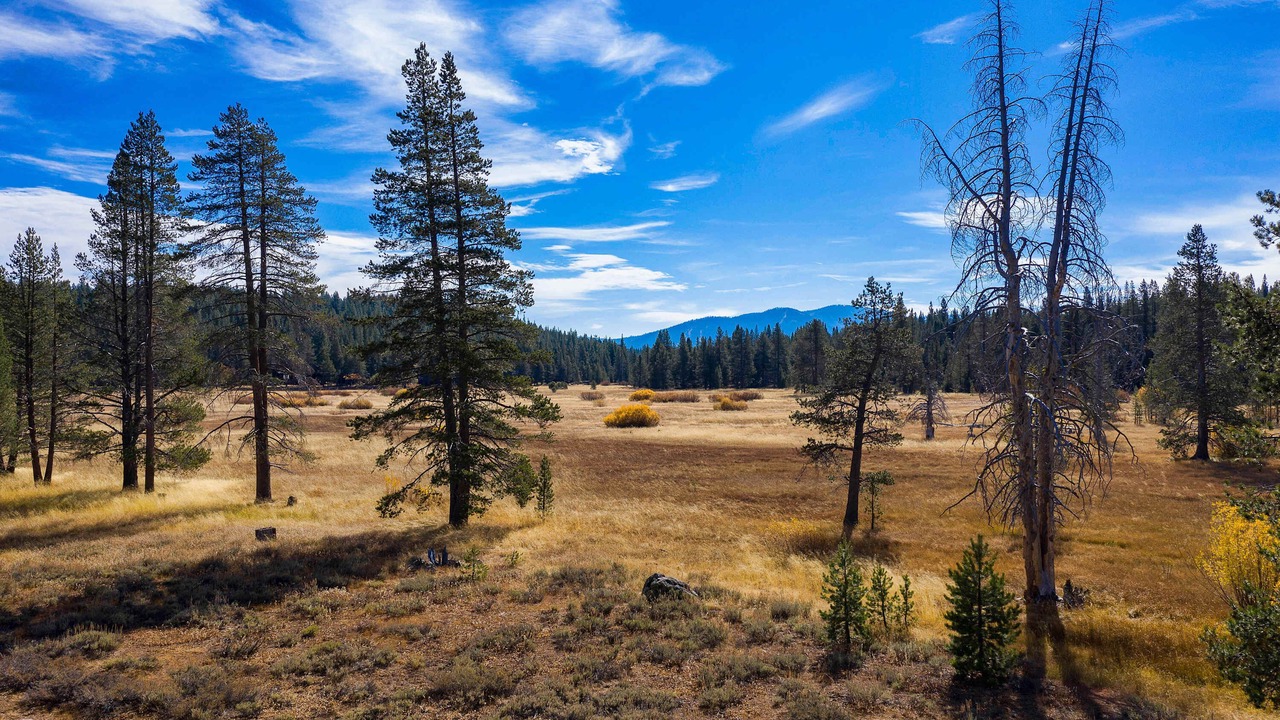 Photo of Others in Truckee