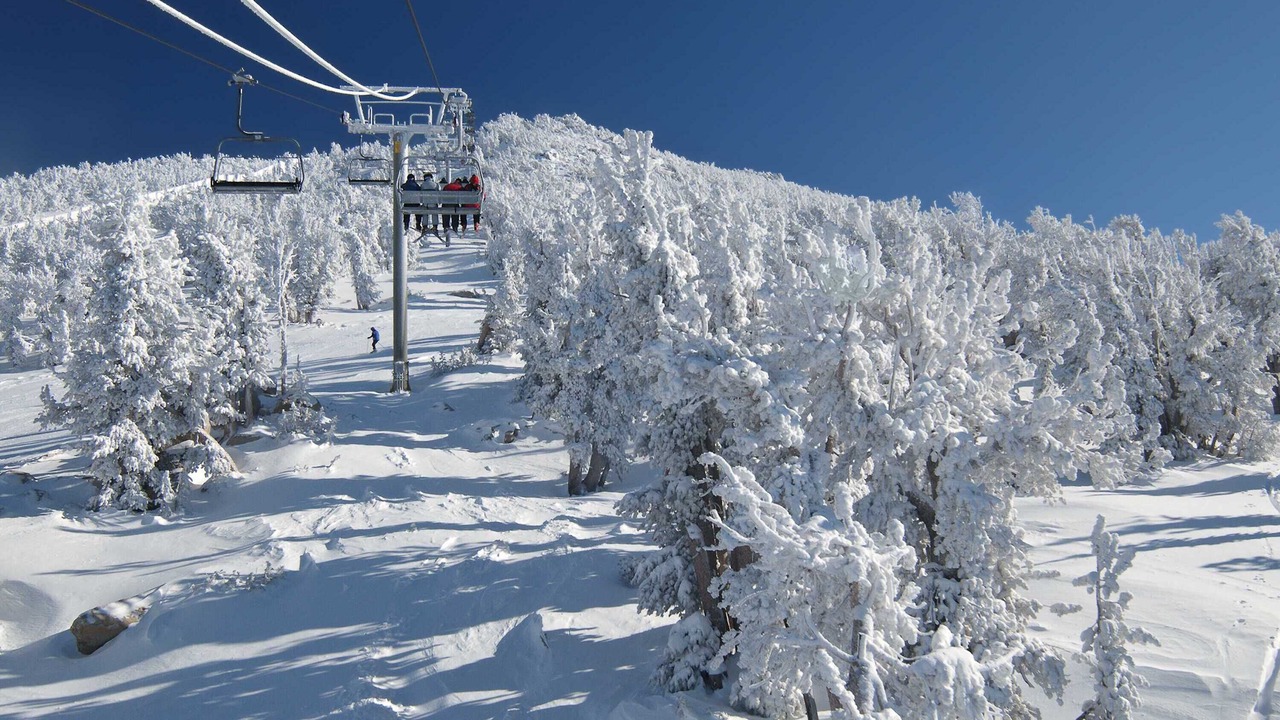 Photo of Others in Olympic Valley