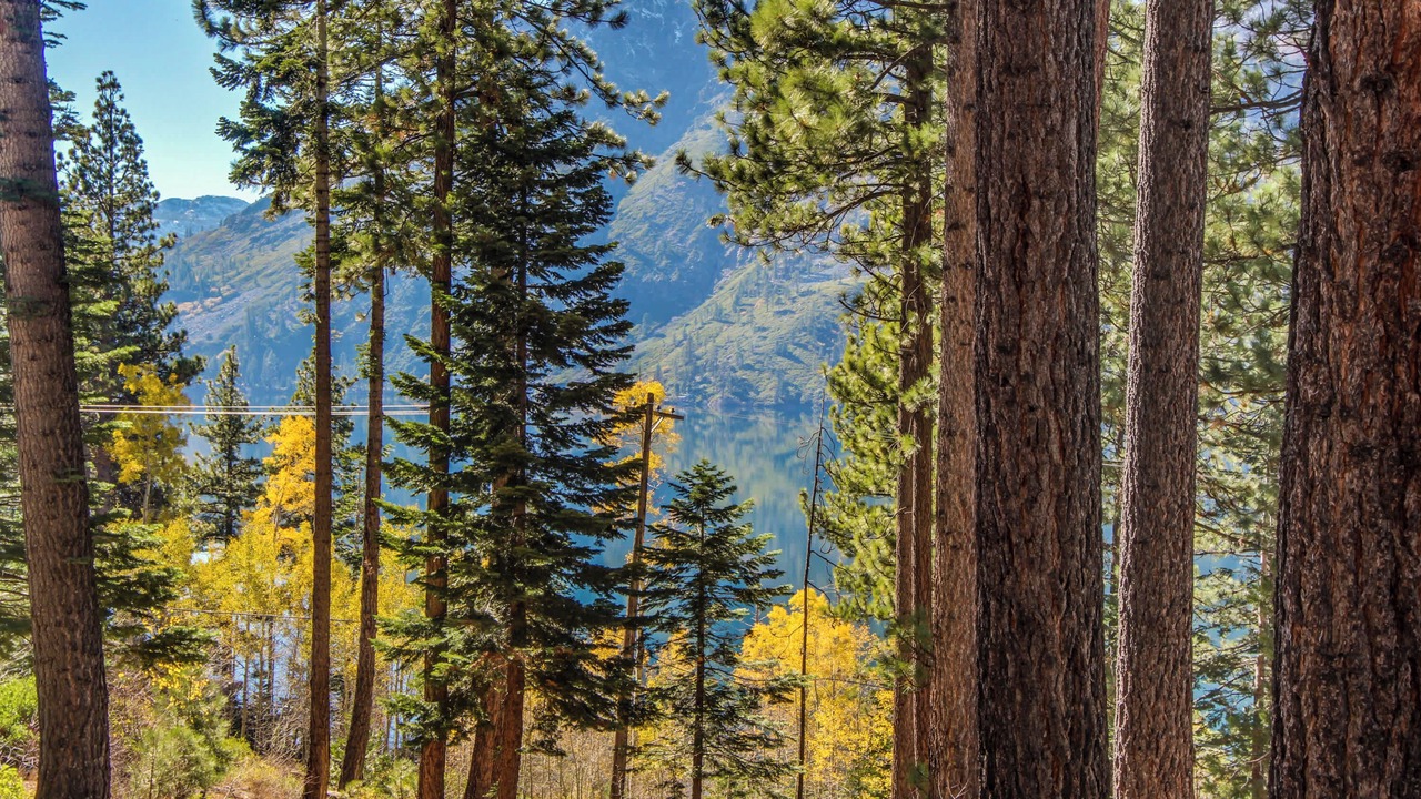 Photo of Others in South Lake Tahoe
