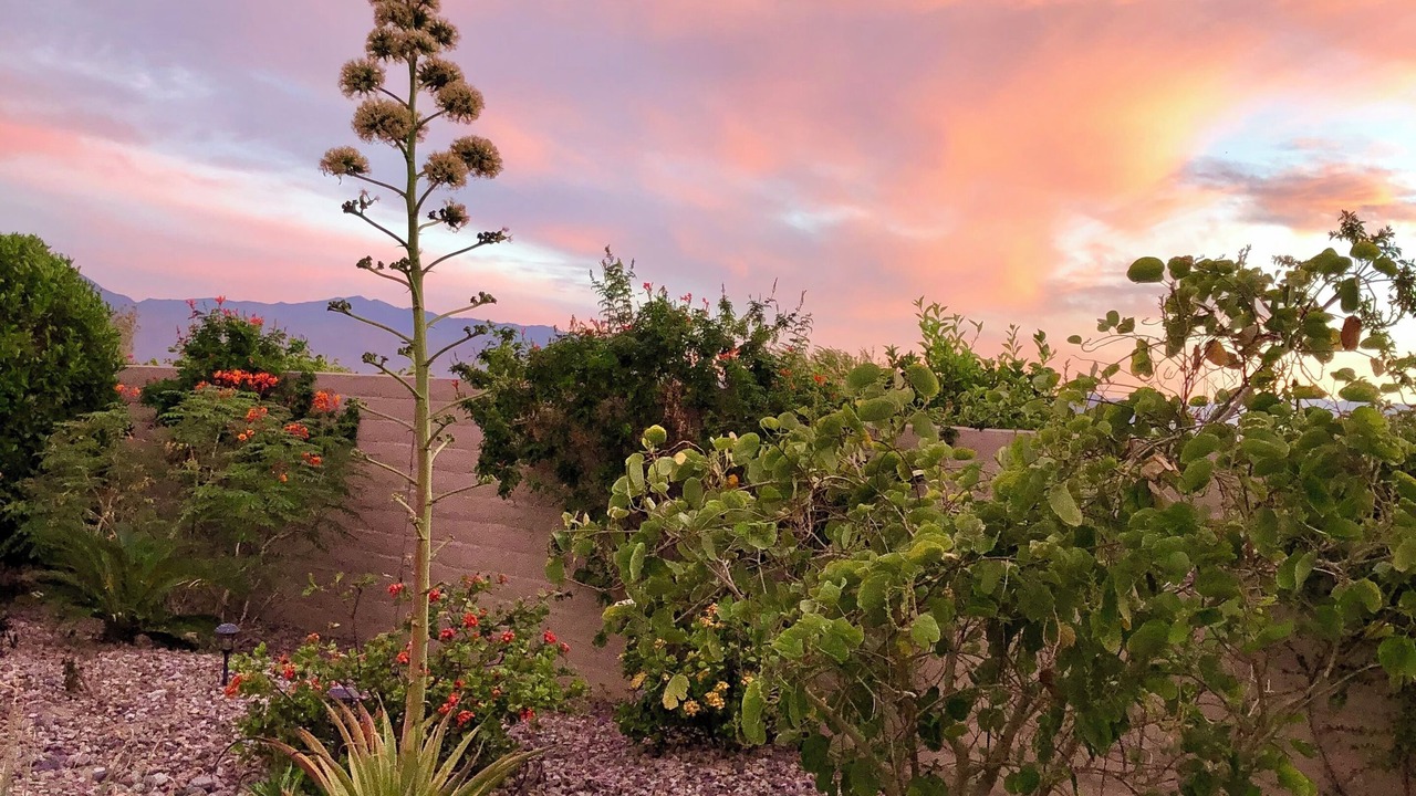 Photo of Others in Indio