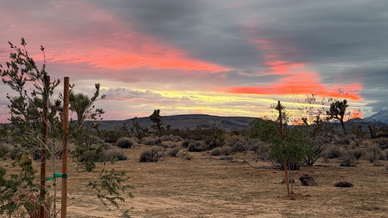 Photo of Others in Yucca Valley