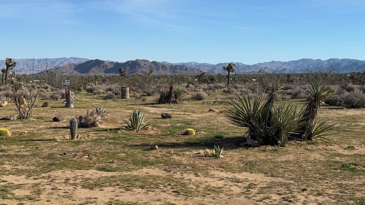 Photo of Others in Yucca Valley