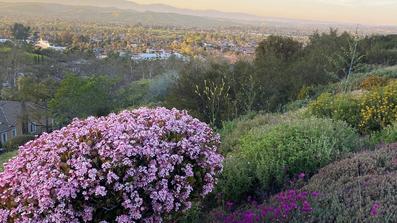 Photo of Others in Ivey Ranch - Rancho Del Oro