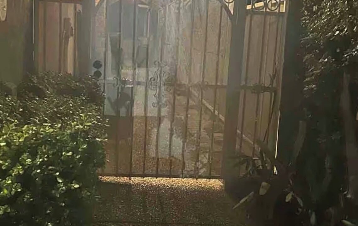 Photo of Outdoor in South San Jose