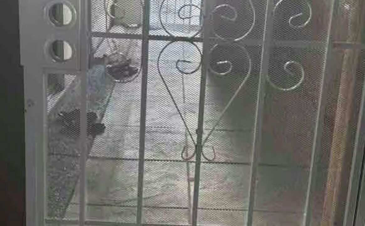 Photo of Others in South San Jose
