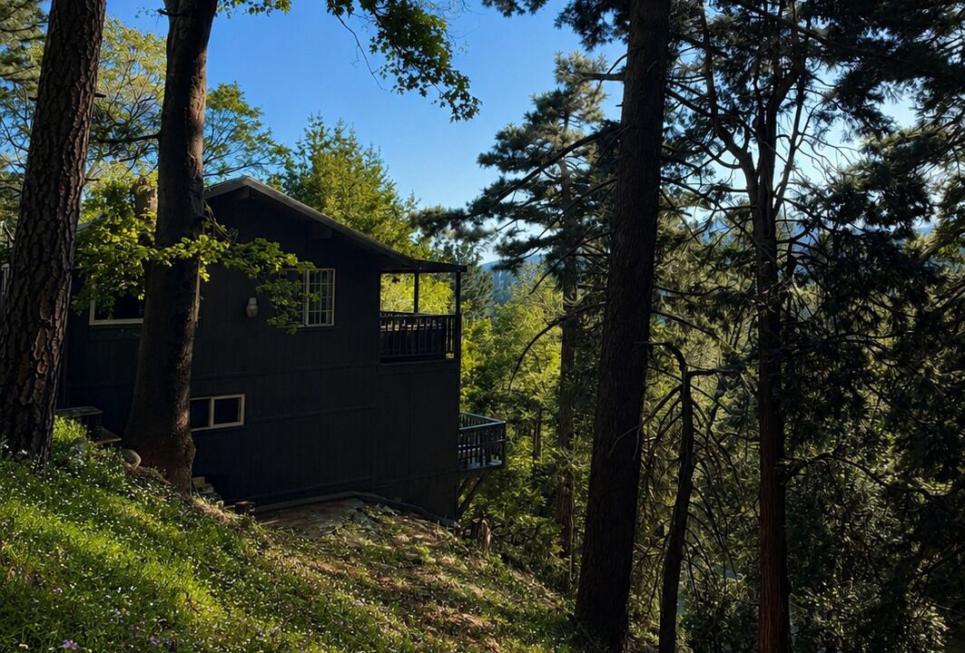 Photo of Outdoor in Cedarpines Park