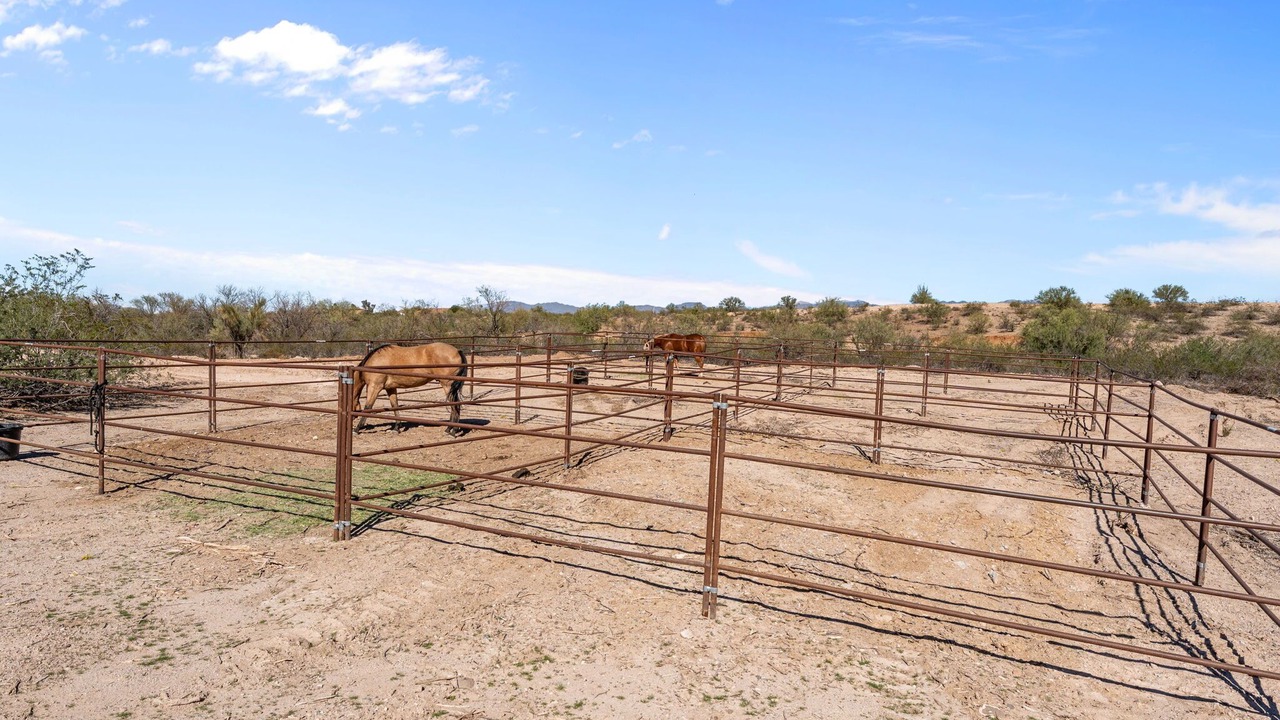 Photo of Others in Wickenburg