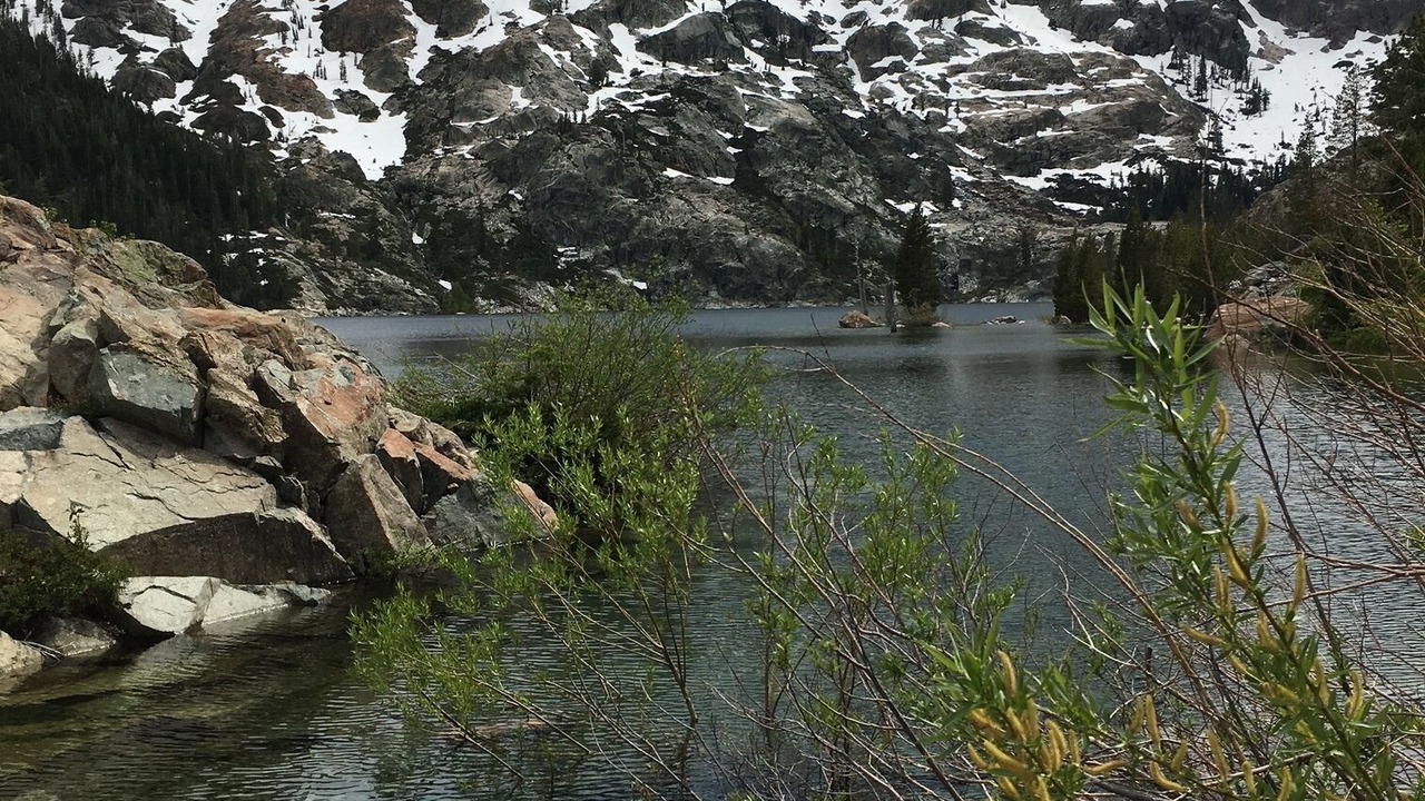 Photo of Others in Sierra City