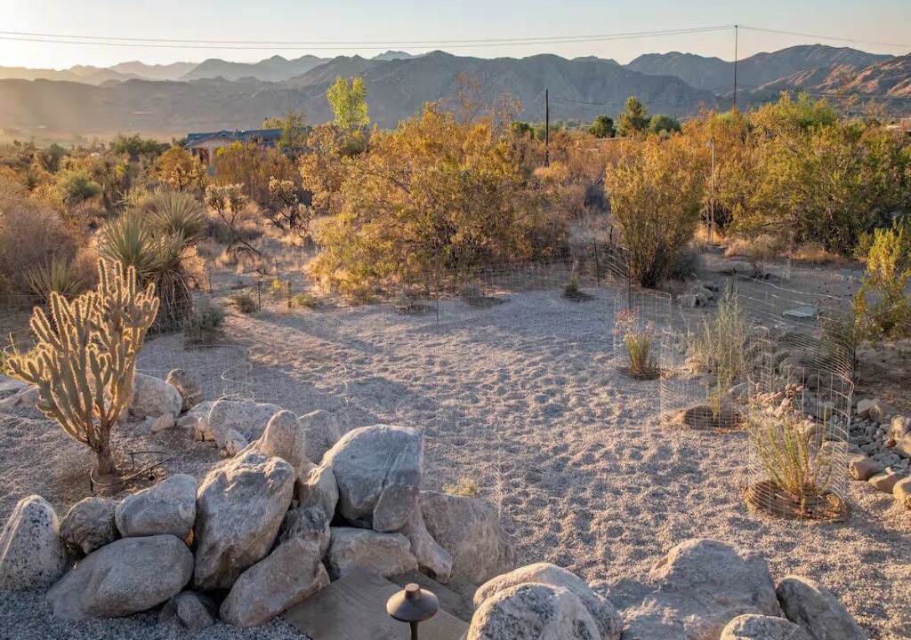 Photo of Outdoor in Morongo Valley