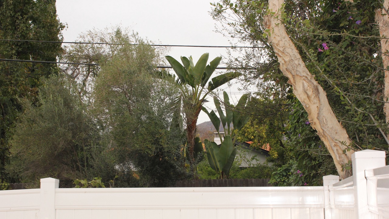 Photo of Others in Pasadena