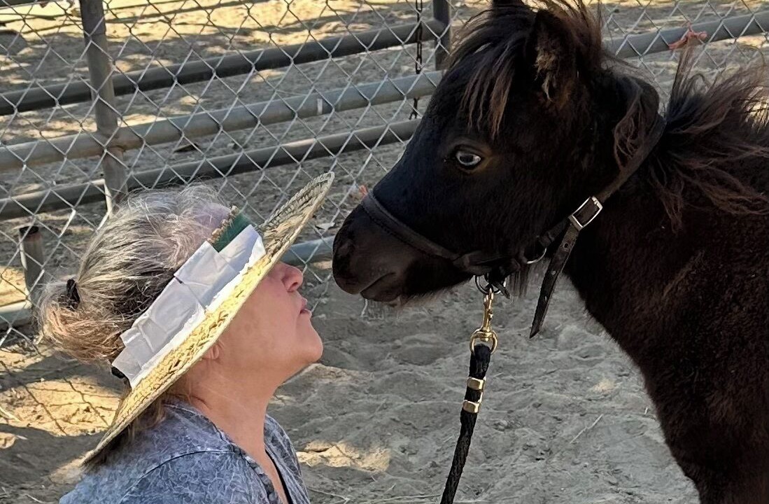 Photo of Others in El Cajon