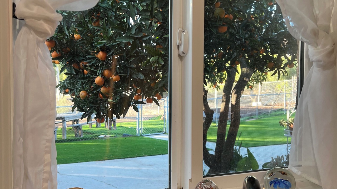 Photo of Others in El Cajon