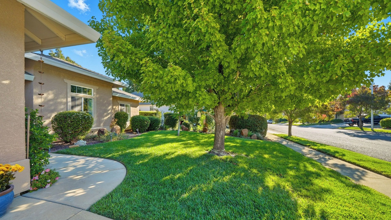Photo of Outdoor in Sunset Avenues