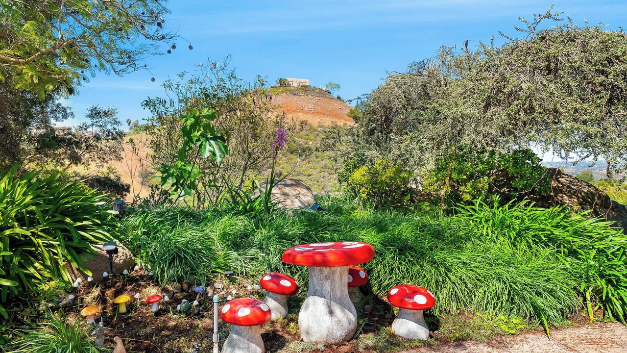 Photo of Outdoor in Bonsall