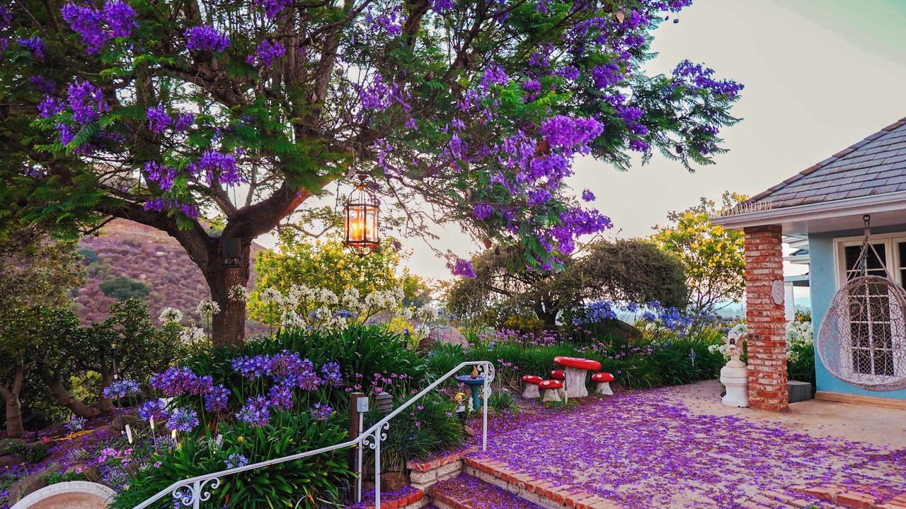 Photo of Outdoor in Bonsall
