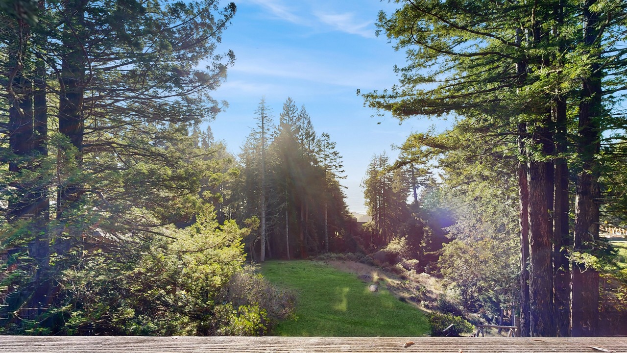 Photo of Others in Sea Ranch