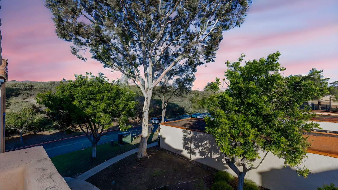 Photo of Outdoor in University City