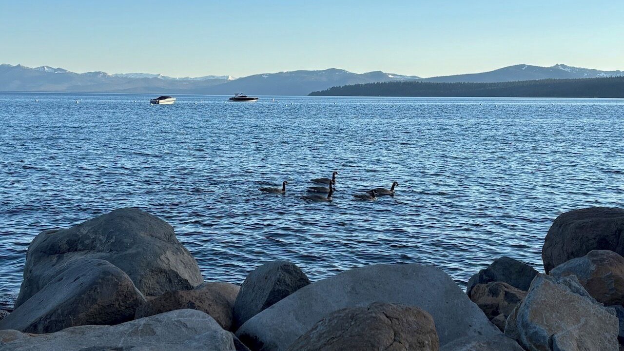 Photo of Others in Tahoe Vista