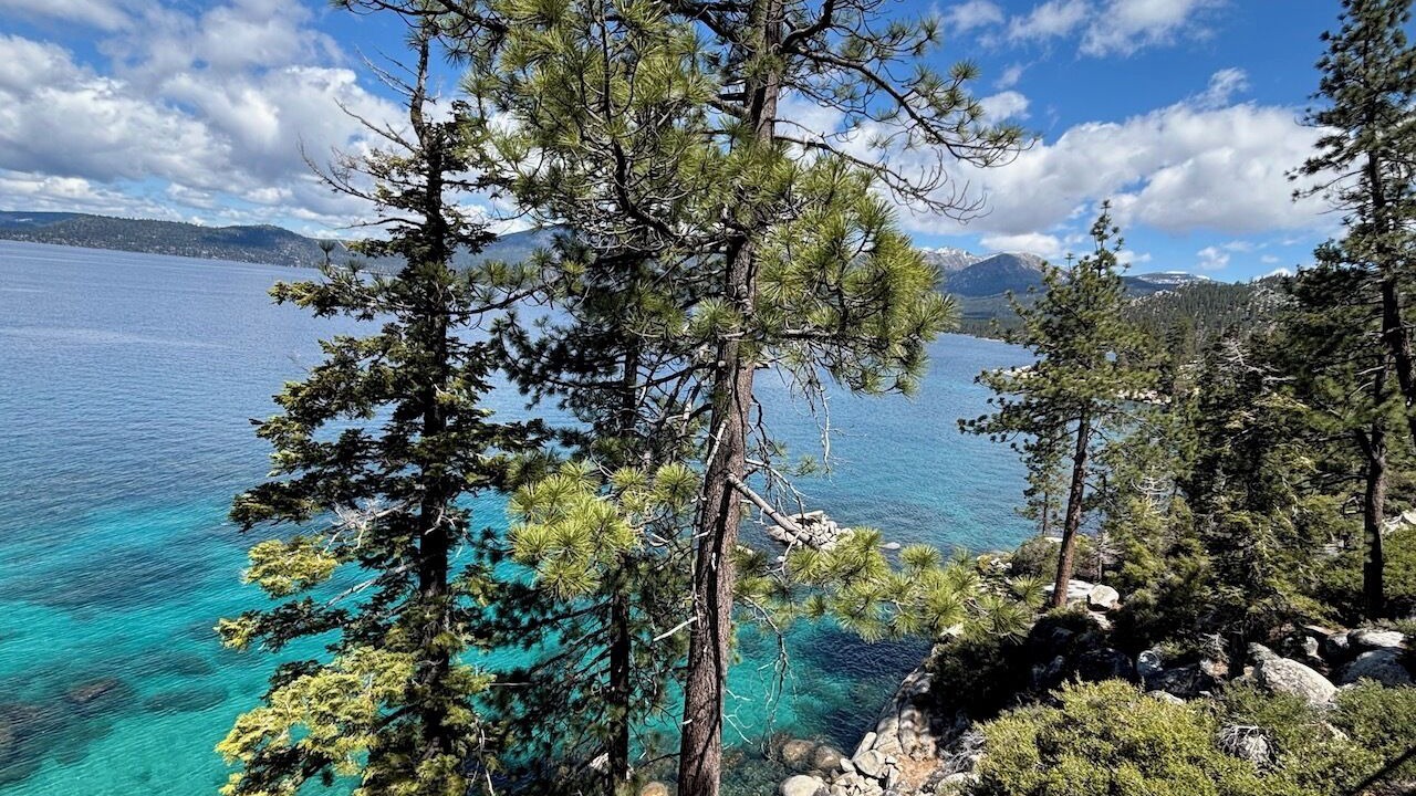 Photo of Others in Tahoe Vista