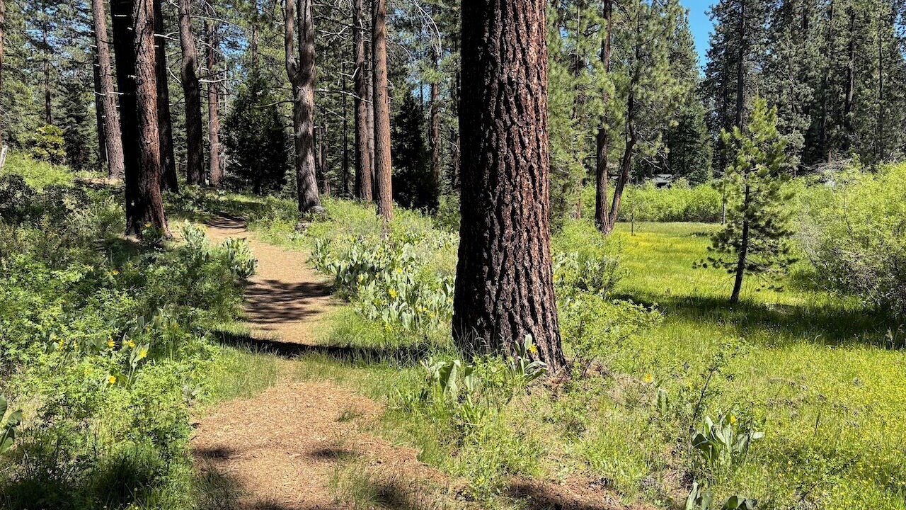 Photo of Others in Tahoe Vista