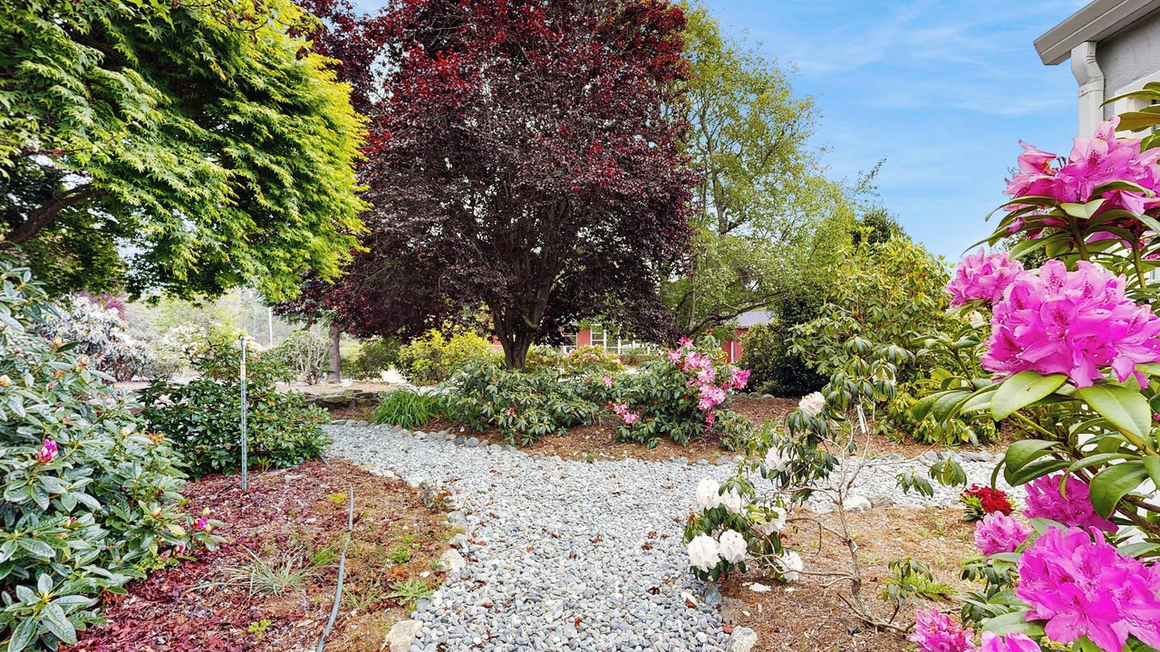 Photo of Outdoor in Fort Bragg