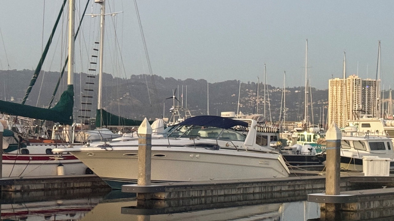 Photo of Others in Alameda