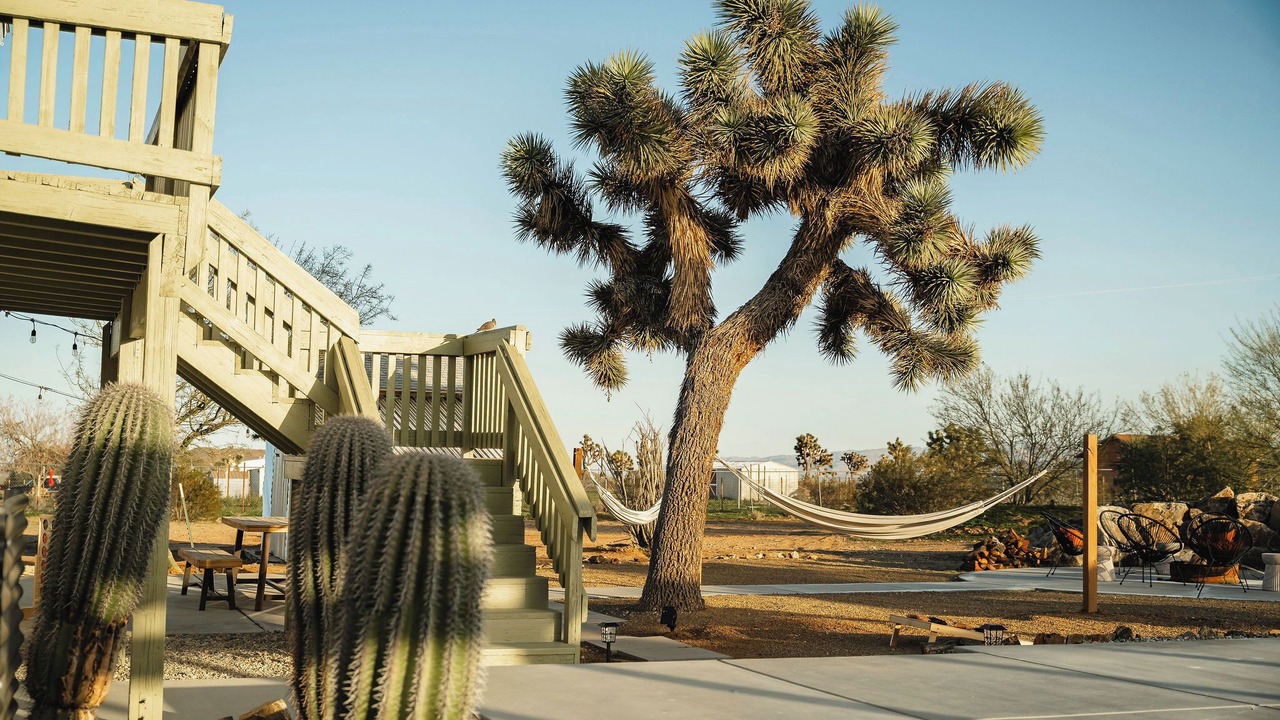 Photo of Others in Yucca Valley
