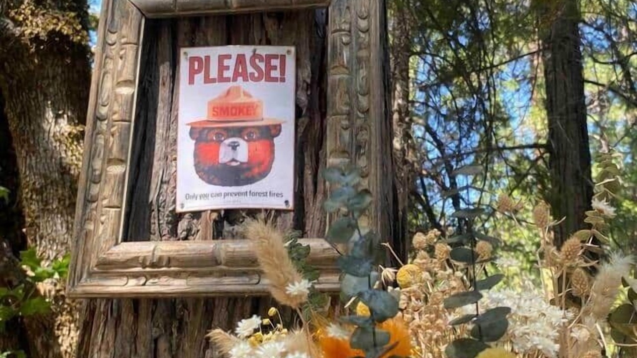 Photo of Outdoor in Burnt Ranch