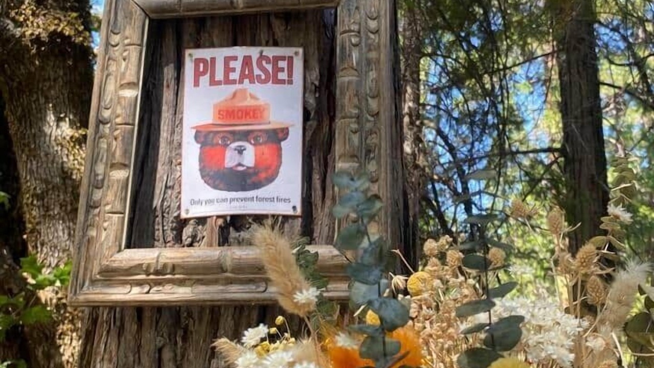 Photo of Outdoor in Burnt Ranch